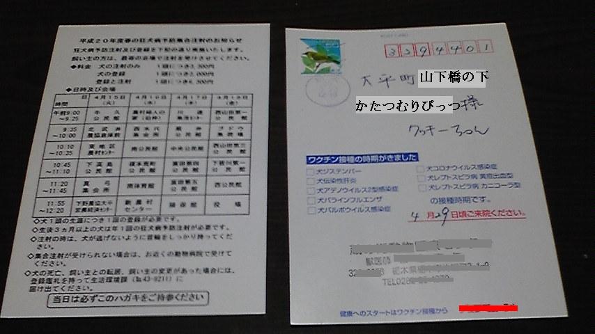 �����ނ�т��̌�����������