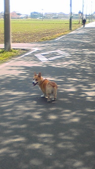 �����ނ�т��̌�����������