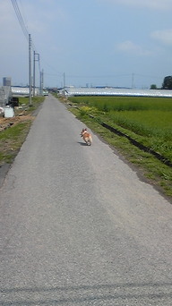 �����ނ�т��̌�����������