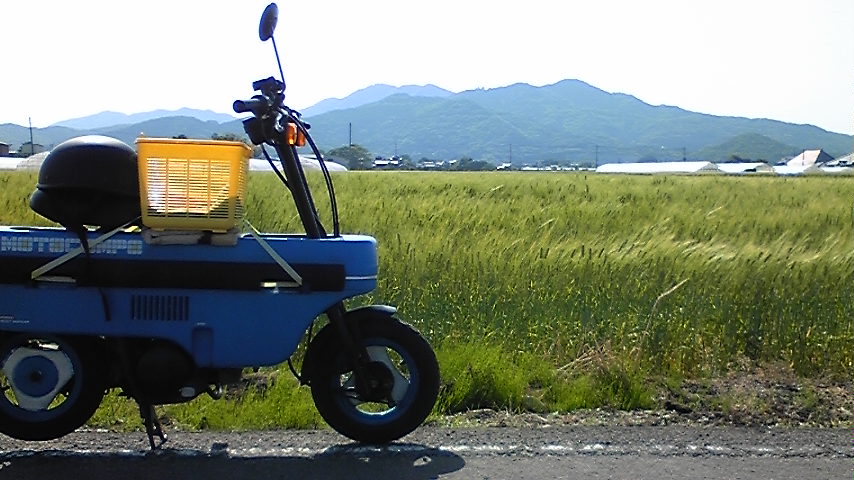 �����ނ�т��̌�����������