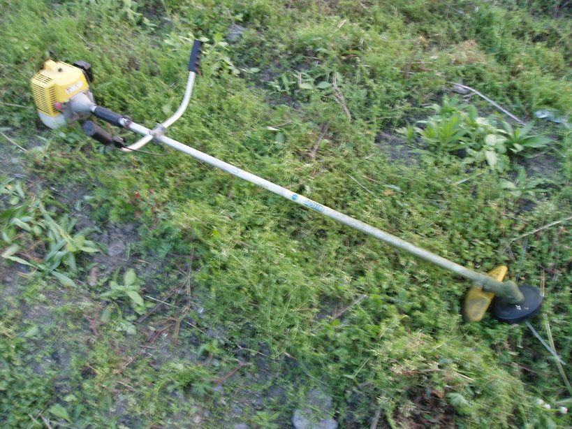 �����ނ�т��̌�����������