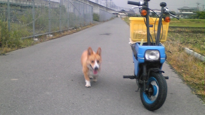 �����ނ�т��̌�����������