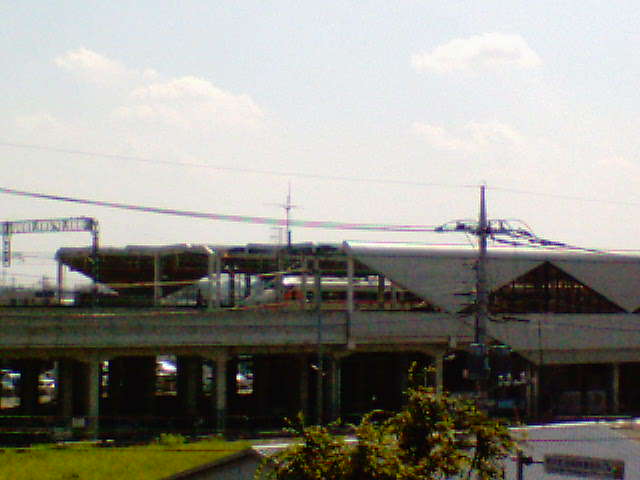 �����ނ�т��̌�����������