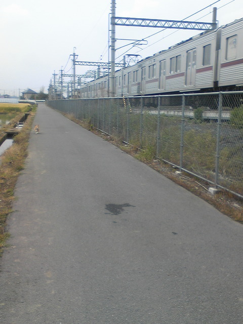 �����ނ�т��̌�����������