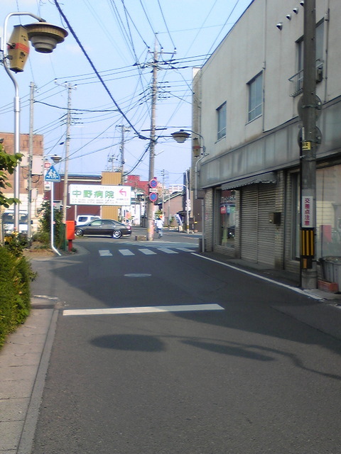 �����ނ�т��̌�����������