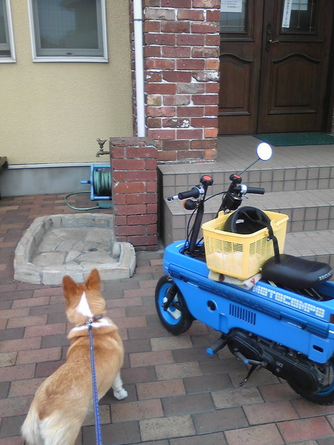 �����ނ�т��̌�����������