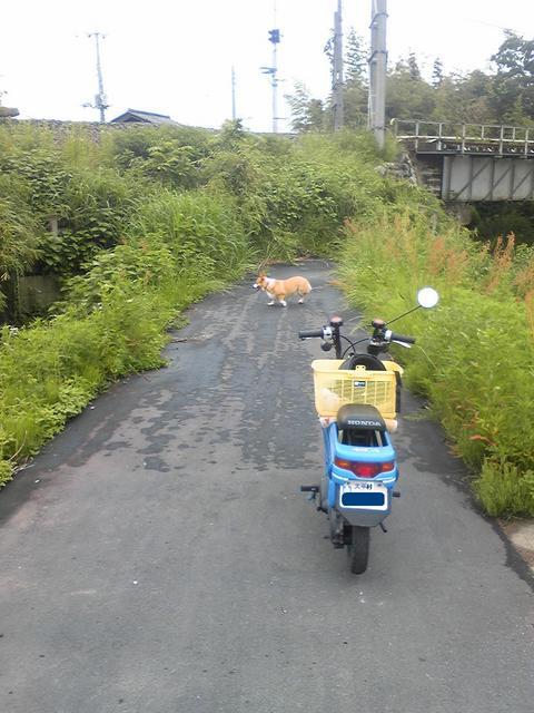 �����ނ�т��̌�����������