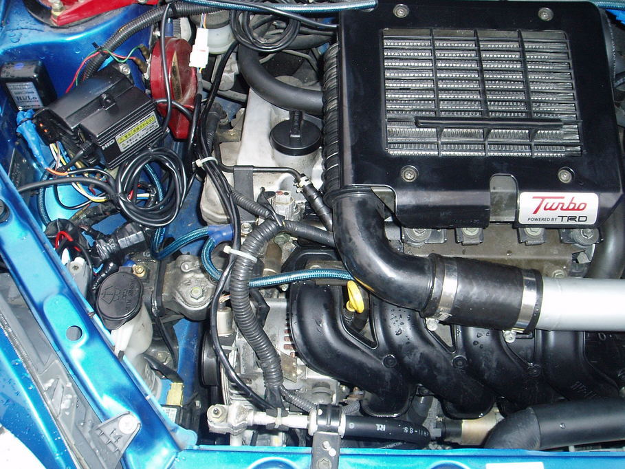 �����ނ�т��̌�����������