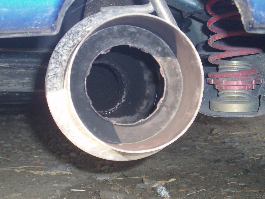 �����ނ�т��̌�����������