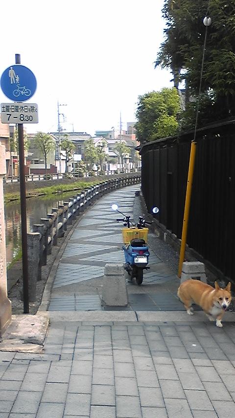 �����ނ�т��̌�����������