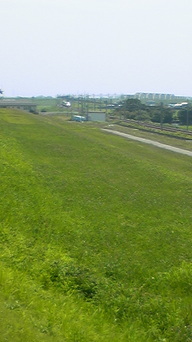 �����ނ�т��̌�����������