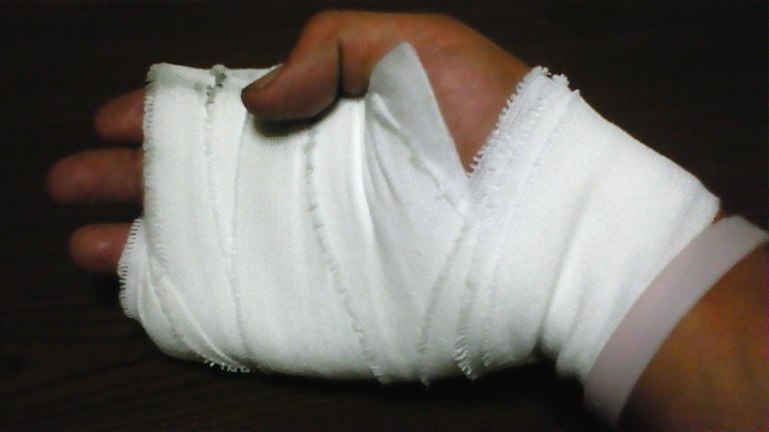 �����ނ�т��̌�����������