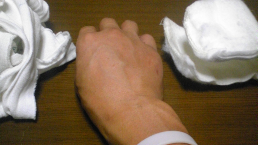 �����ނ�т��̌�����������