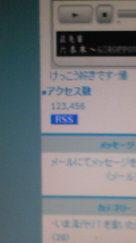 �����ނ�т��̌�����������