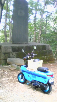 �����ނ�т��̌�����������