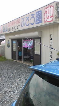 �����ނ�т��̌�����������