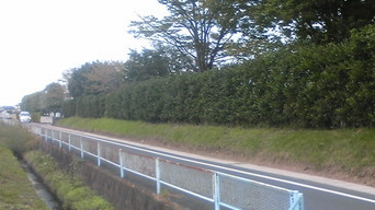 �����ނ�т��̌�����������