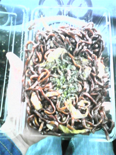 �����ނ�т��̌�����������