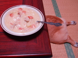 �����ނ�т��̌�����������