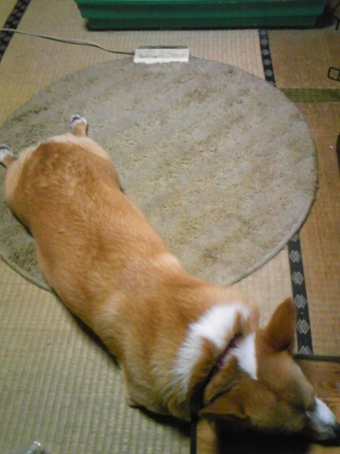 �����ނ�т��̌�����������