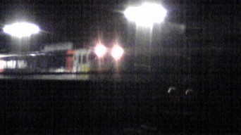 �����ނ�т��̌�����������