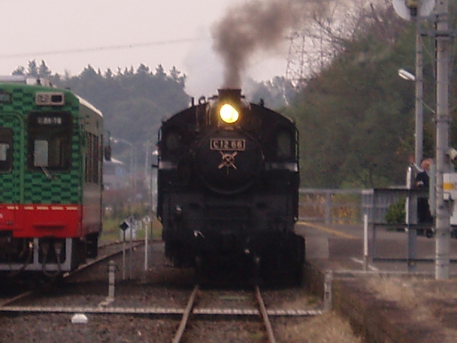 �����ނ�т��̌�����������