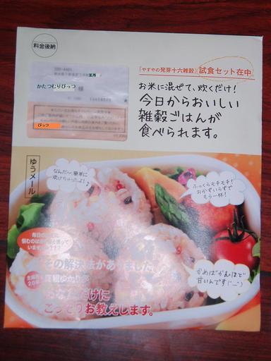 �����ނ�т��̌�����������