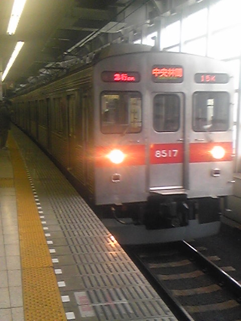 �����ނ�т��̌�����������