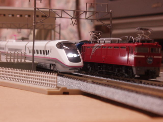 �����ނ�т��̌�����������