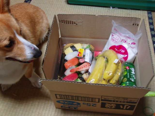 �����ނ�т��̌�����������