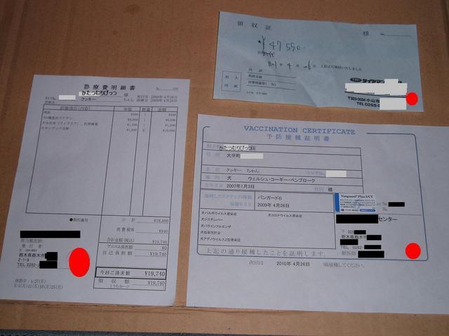 �����ނ�т��̌�����������