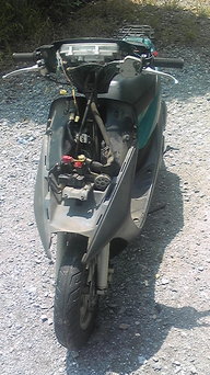 �����ނ�т��̌�����������