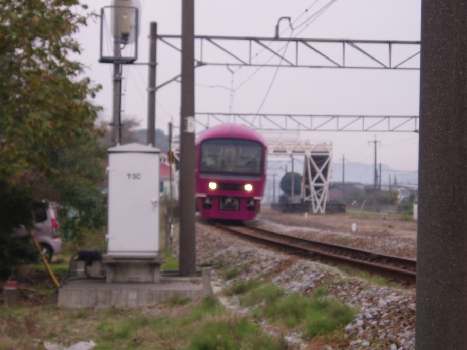 �����ނ�т��̌�����������