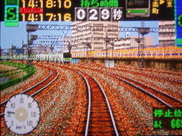 �����ނ�т��̌�����������