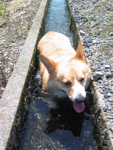 �����ނ�т��̌�����������