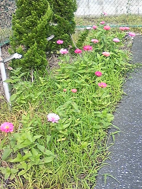 �����ނ�т��̌�����������