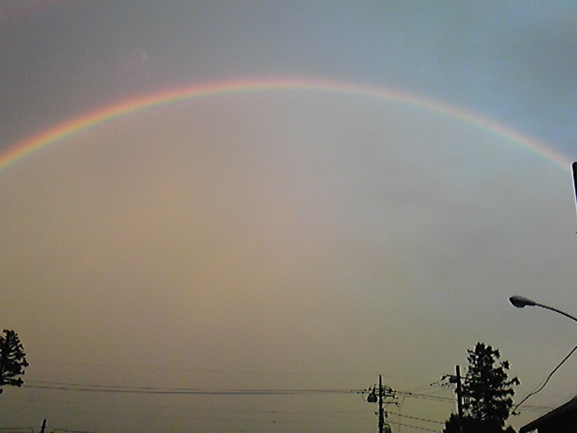 �����ނ�т��̌�����������