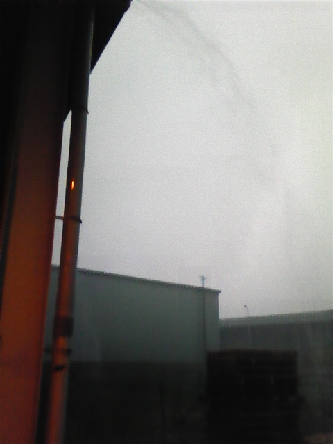 �����ނ�т��̌�����������