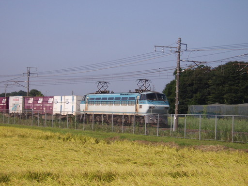 �����ނ�т��̌�����������