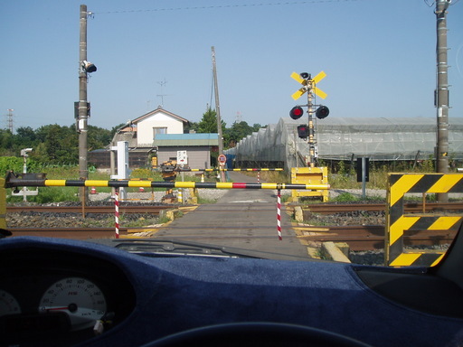 �����ނ�т��̌�����������