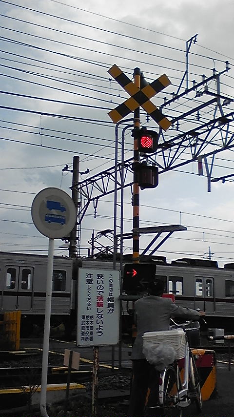 �����ނ�т��̌�����������