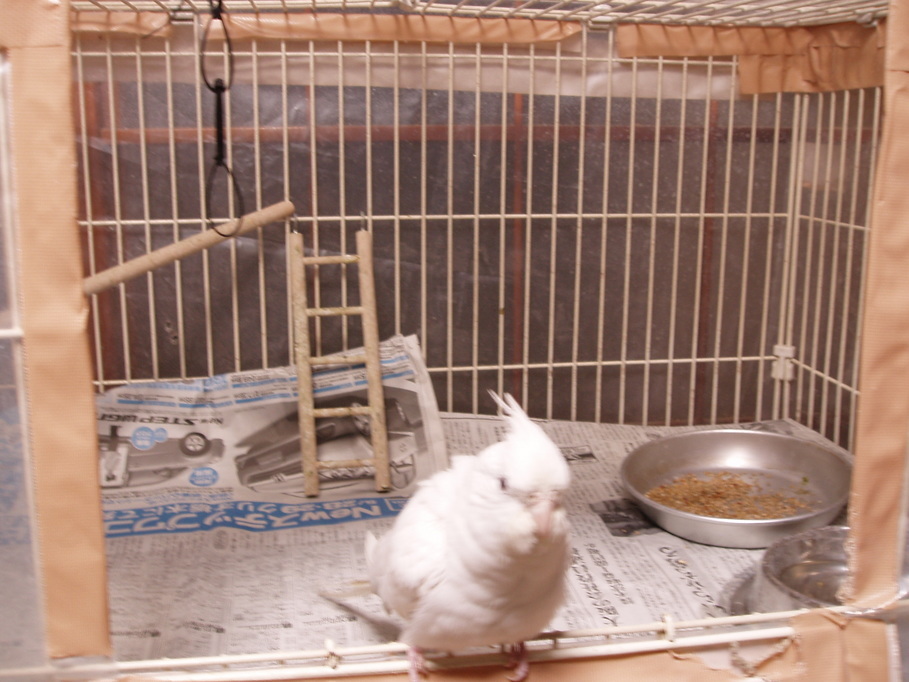 �����ނ�т��̌�����������