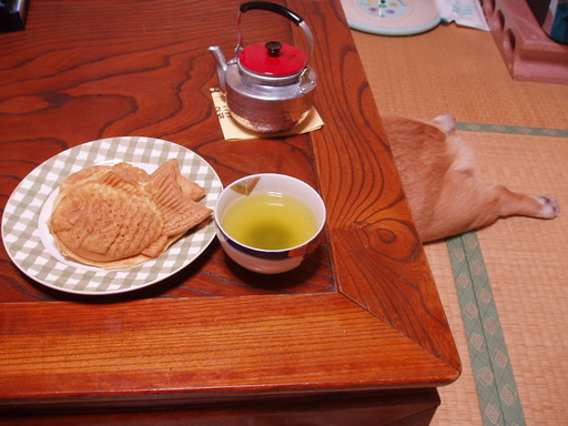 �����ނ�т��̌�����������