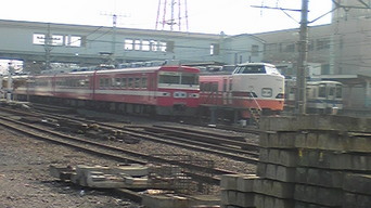 �����ނ�т��̌�����������