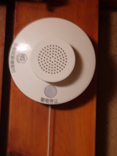 �����ނ�т��̌�����������