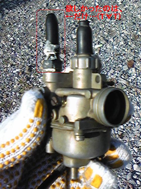 �����ނ�т��̌�����������