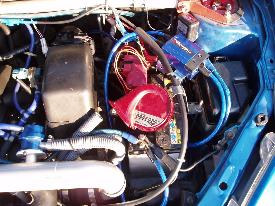 �����ނ�т��̌�����������