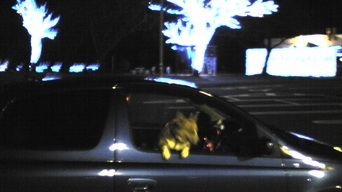 �����ނ�т��̌�����������