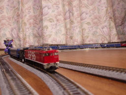 �����ނ�т��̌�����������