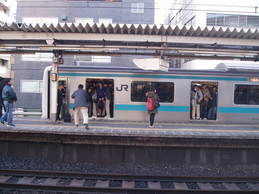 �����ނ�т��̌�����������